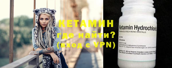 сатива Аркадак