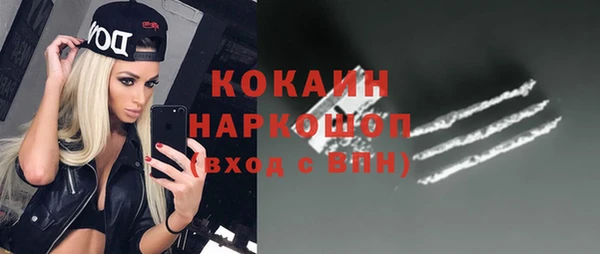 сатива Аркадак