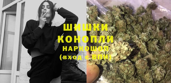 сатива Аркадак