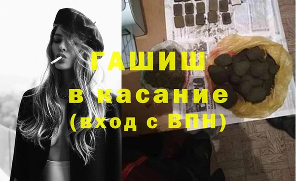 сатива Аркадак