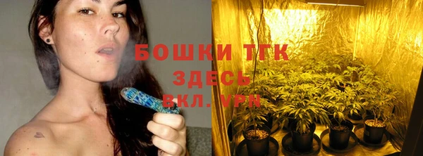 сатива Аркадак