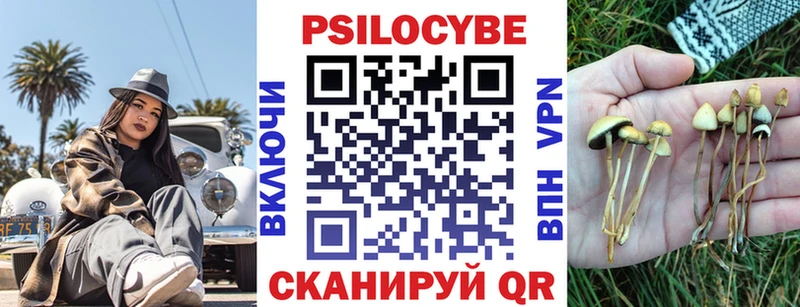Псилоцибиновые грибы Psilocybe  хочу   Новозыбков 